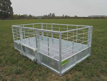 Calf and Transport Tray